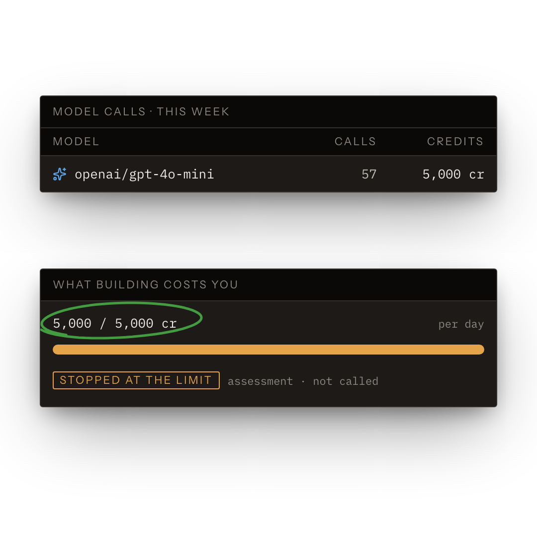 Models chosen per kind of work, model calls metered in credits, and a daily budget that stops a project at its limit.
